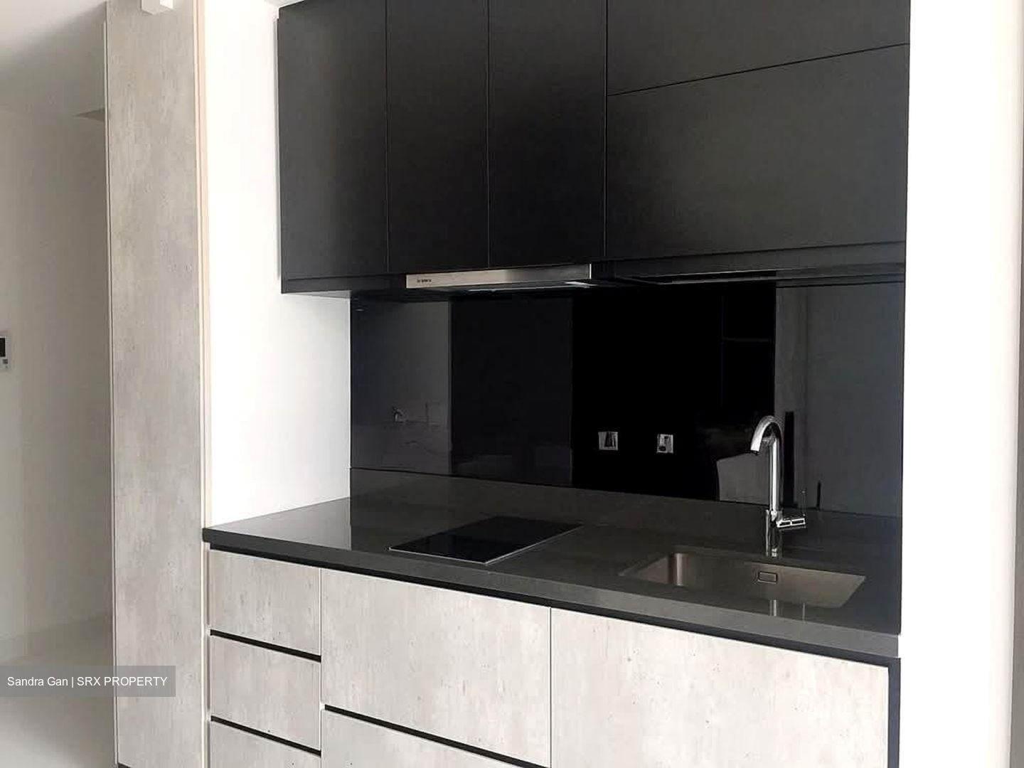 The Rise @ Oxley (D9), Condominium #562081511